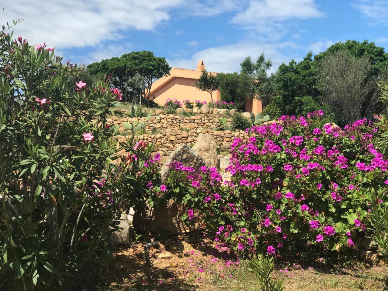 Casagliana Suite Resort Olbia Exterior foto